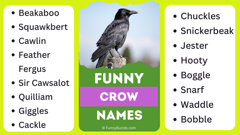 Funny Crow Names