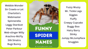 Funny Spider Names