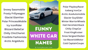 Funny White Car Names