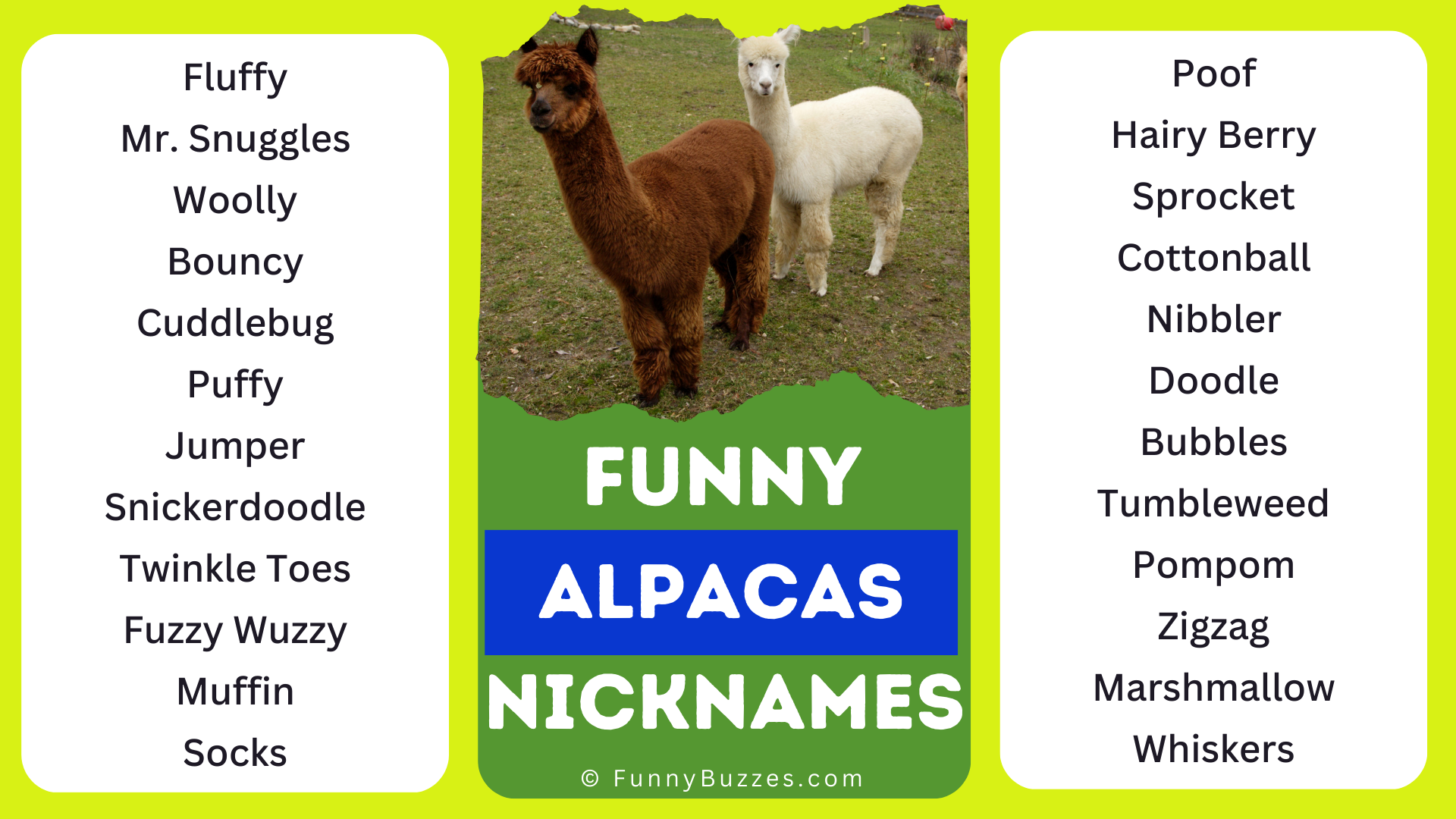 Funny Nicknames for Alpacas