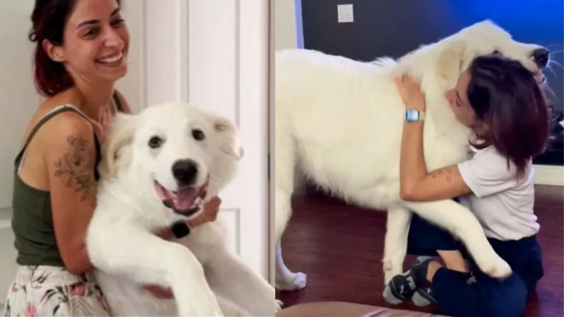 125 Pound Rescue Dog Still Thinks He’s A Small Pup