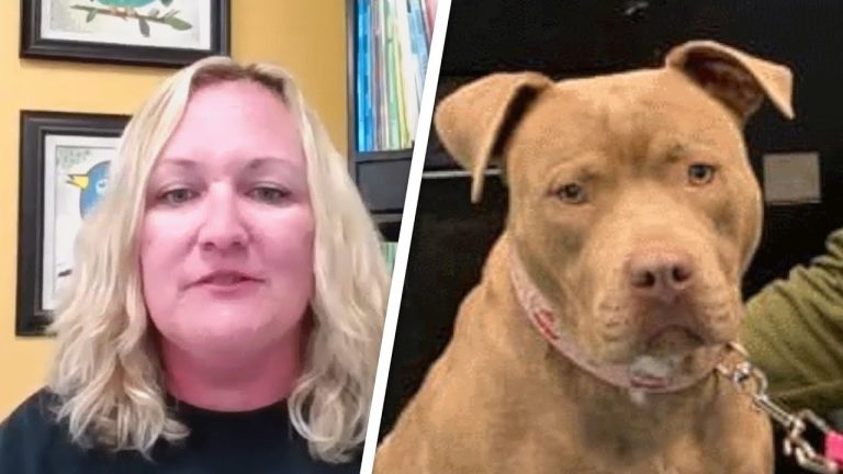 22 shelter dogs got adopted because teacher gave 2nd graders a writing assignment