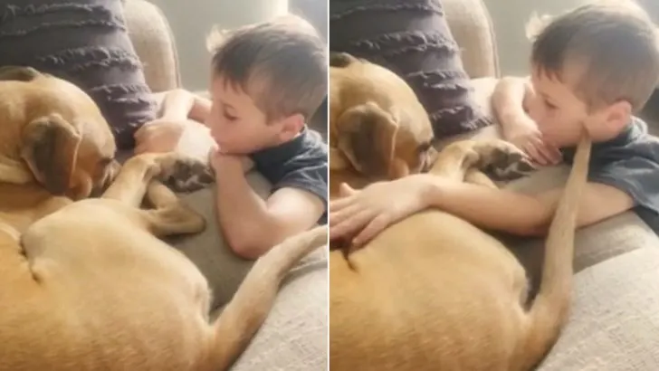 7 Year Old Comforts His Fearful Rescue Dog, Assuring Him of Endless Love