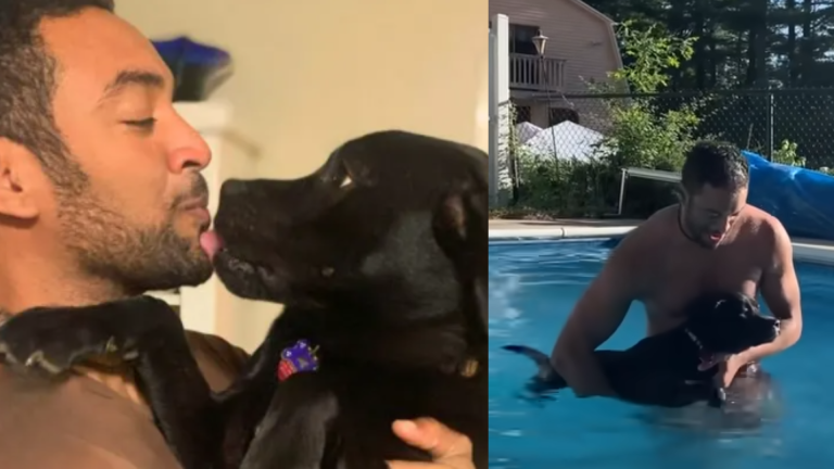 Abandoned Dog Finds Unconditional Love After Multiple Rejections