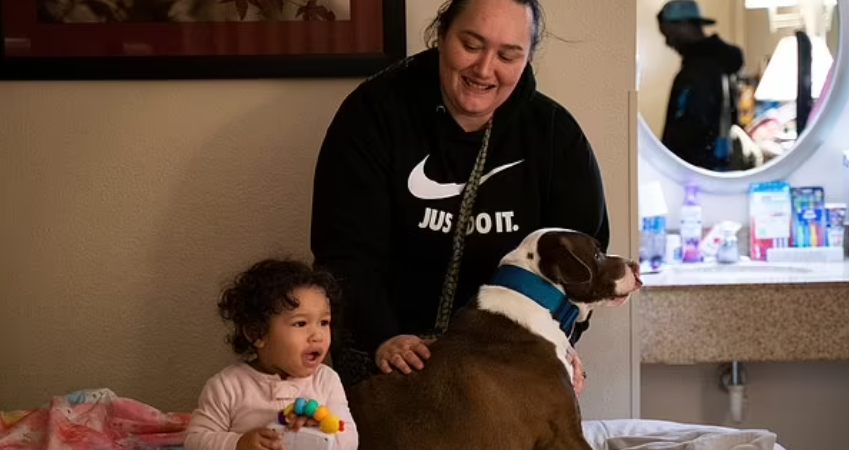 Devoted Dog's Love for Baby Girl Leads to Heroic Stand in Burning Home, Guides Firefighters to Her Rescue