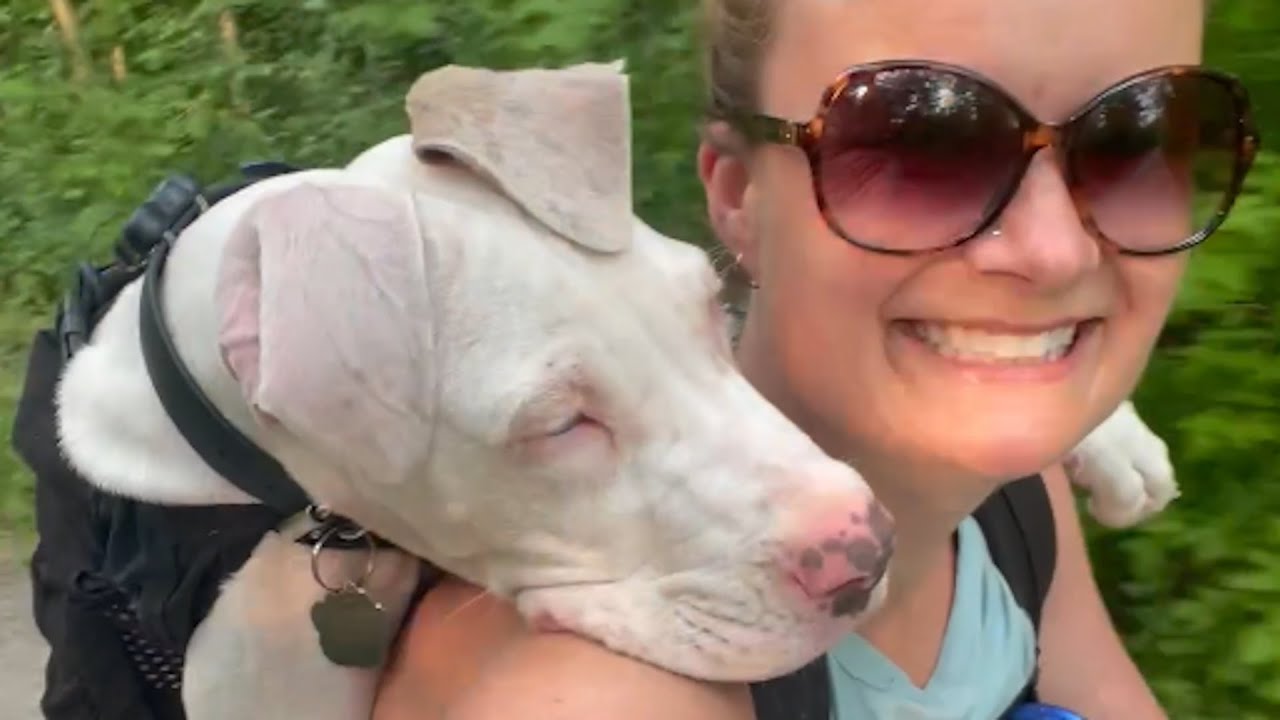 Deaf dog sweetly hugs woman who adopted him