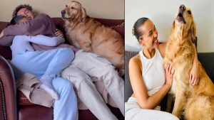 Loving Golden Retriever Gets Really Jealous of Dad's Girlfriend Friend