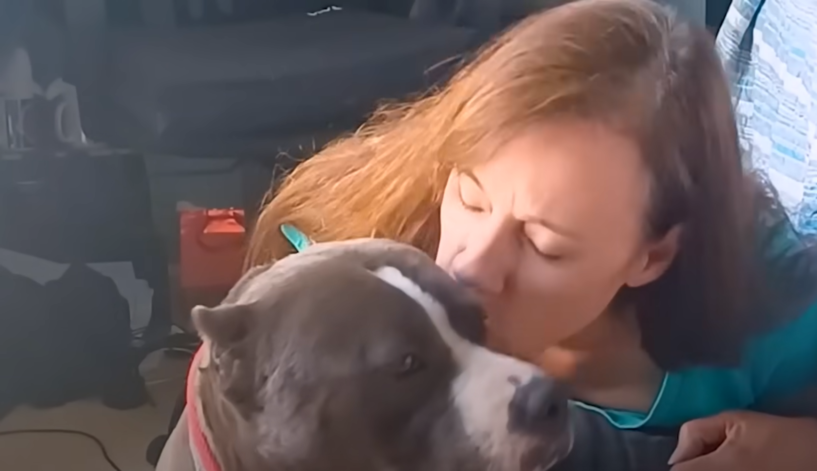 Pittie Couldn't Stop Shaking Until Her Rescuers Finally Give Her A Hug