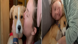 Puppy Who Couldn’t Stop Crying At The Shelter Is So Happy In Her Forever Home