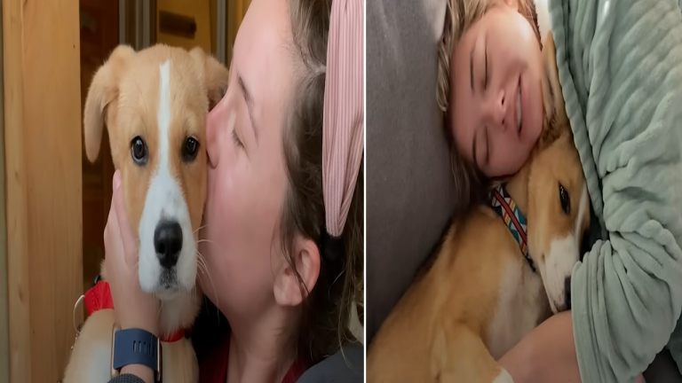 Puppy Who Couldn’t Stop Crying At The Shelter Is So Happy In Her Forever Home