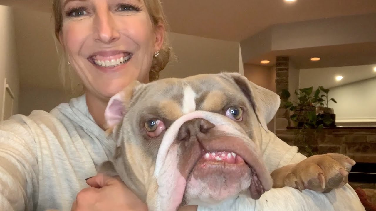 This dog was used for making babies, Now he gets to act like one!