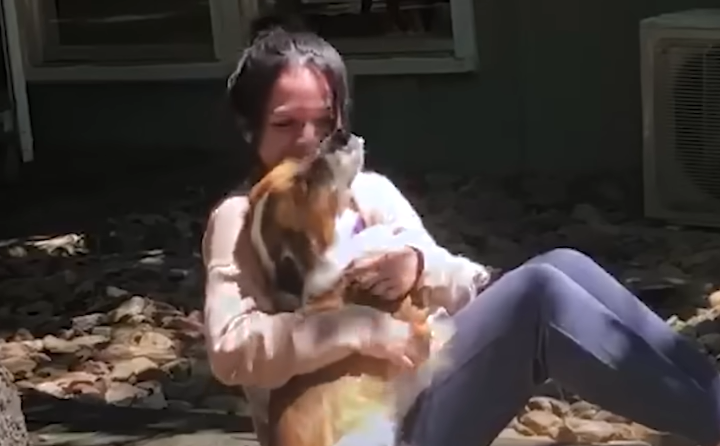 Rescue Dog Stayed in Her Crate For Five Days Until She Realized She Was Home