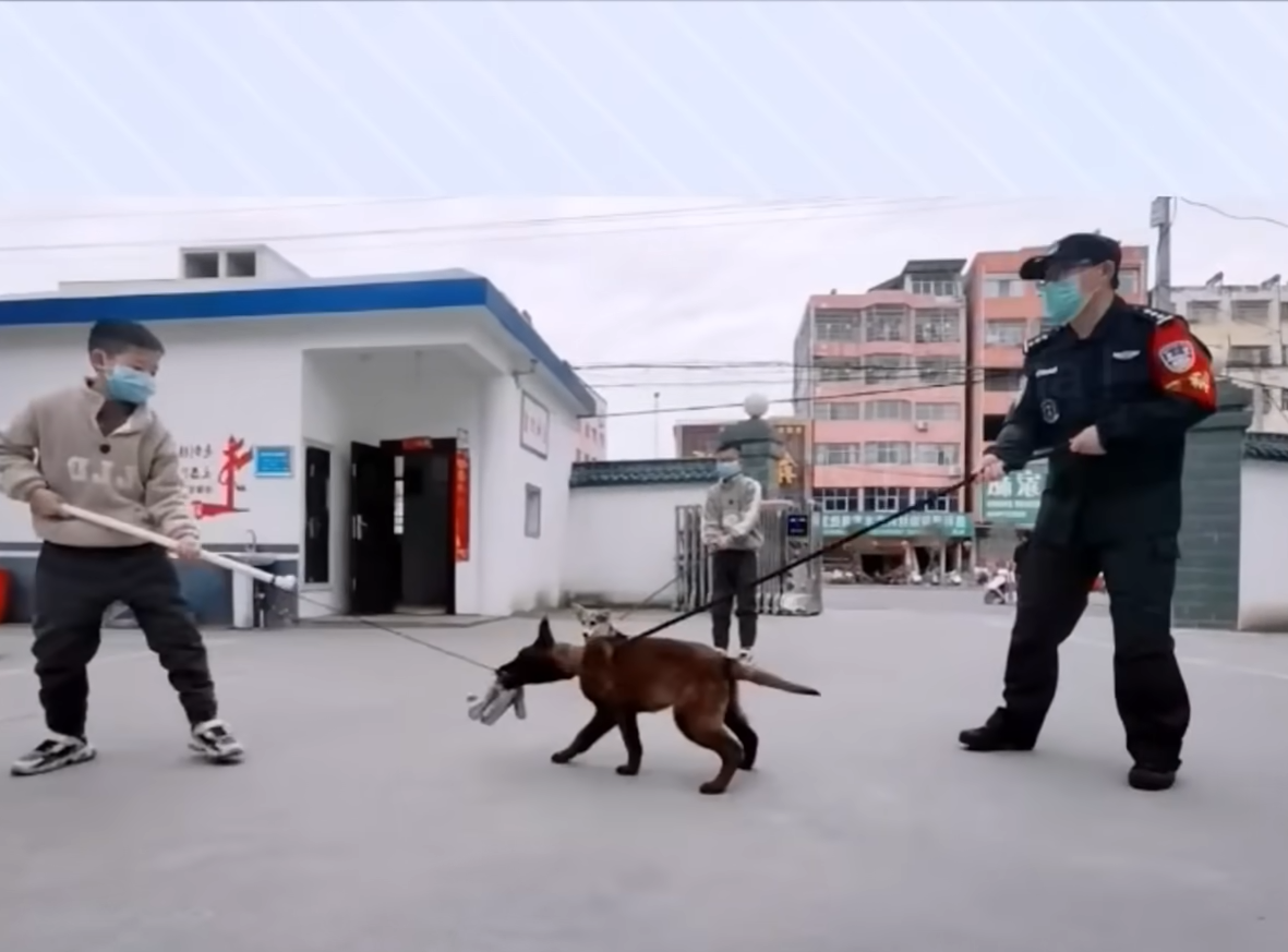 Stray puppy broke into police camp, became a Police Dog after being adopted 6 35 screenshot