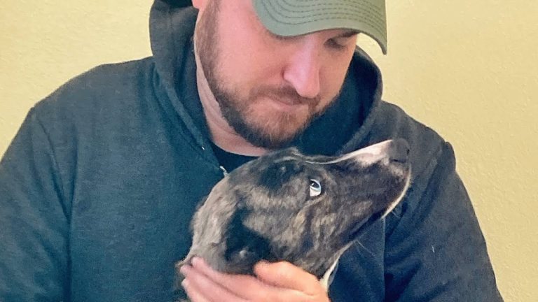 Shelter dog meets the man of her dreams