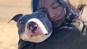 Dog left home alone for weeks starts to act strangely