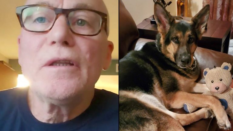 German shepherd saved the life of man who had just adopted her