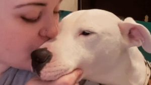 Lonely deaf dog is now so happy after finding a forever home