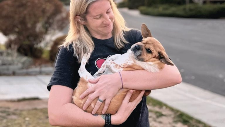 Man adopts senior dog to make him happy in final years