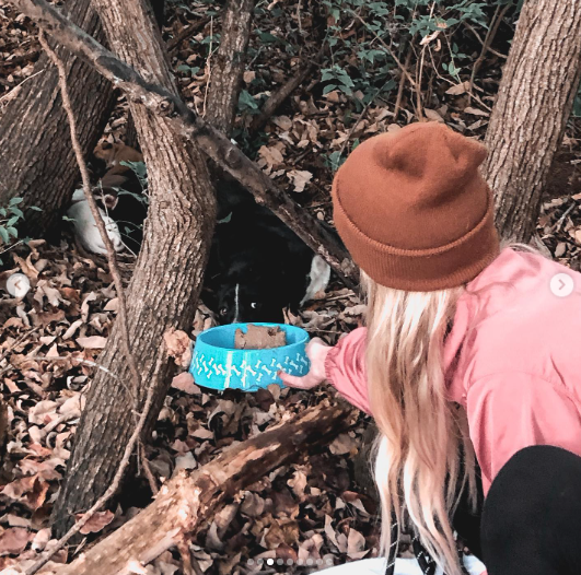 offering food to mama dog