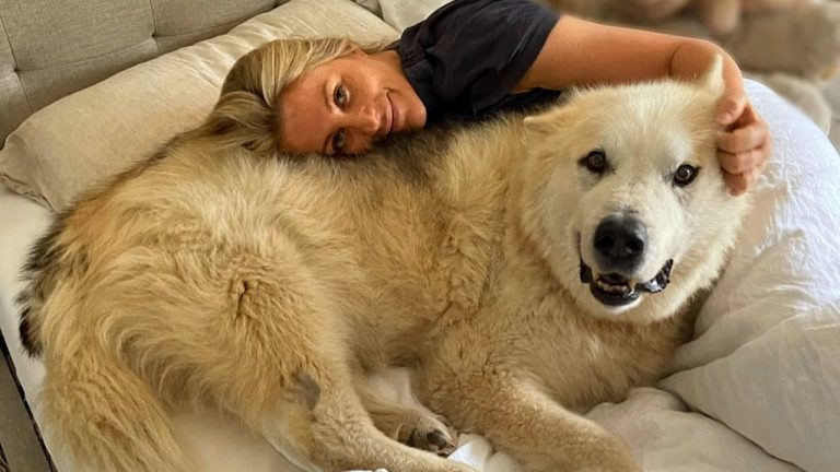This woman adopted a dog with ‘polar bear body!