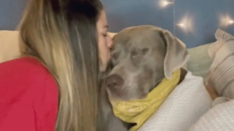 Woman’s dog went blind, Her response was perfect!